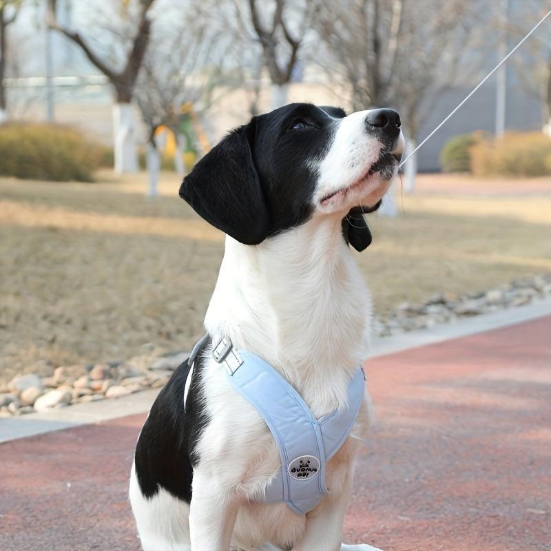Harnais Détendu pour chien