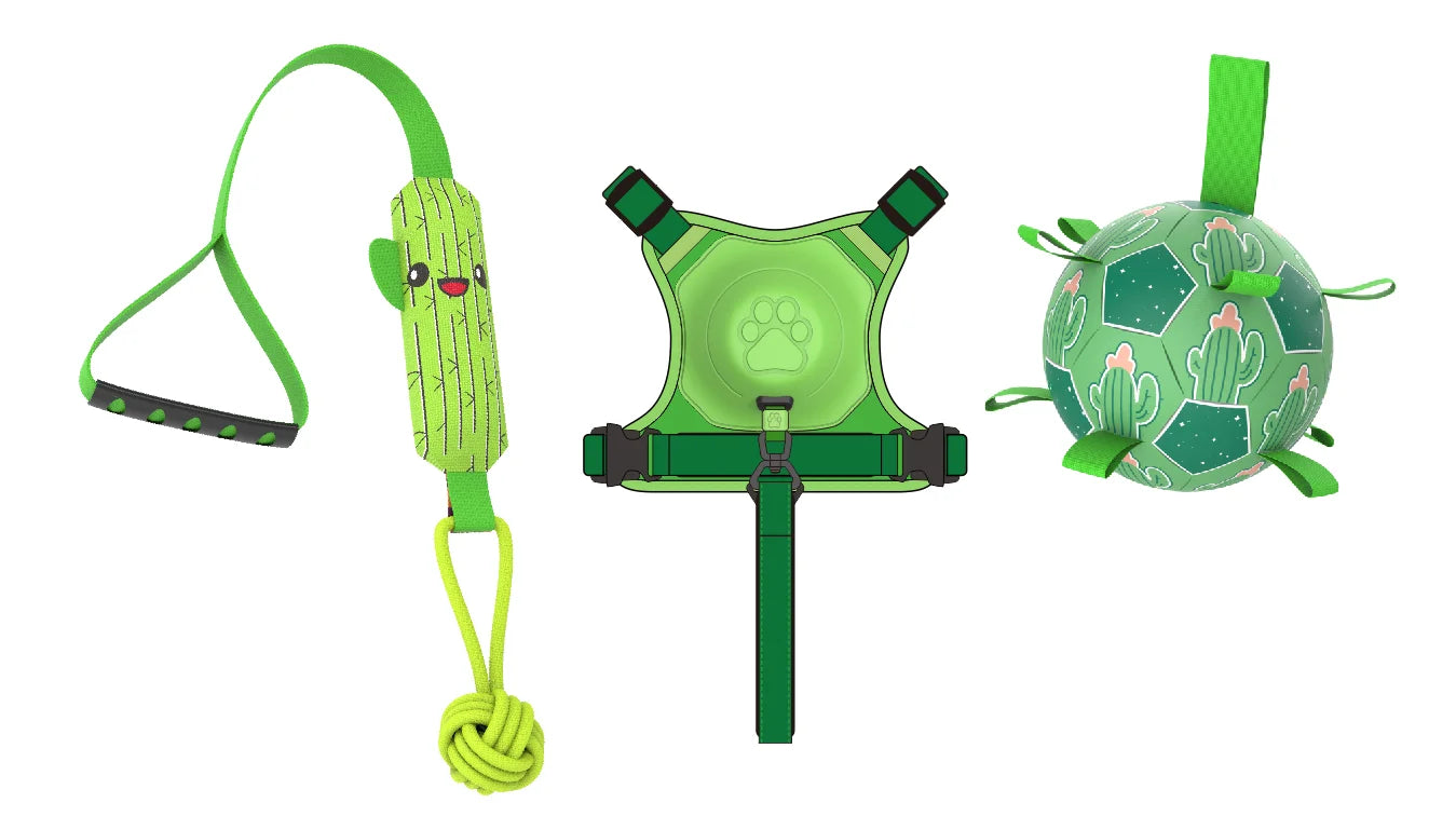Kinyu 2023 New All in One Auto-Lock No-Pull Control Hybrid Dog Harness with Built-In Retractable Leash Dog Harness and Leash Set