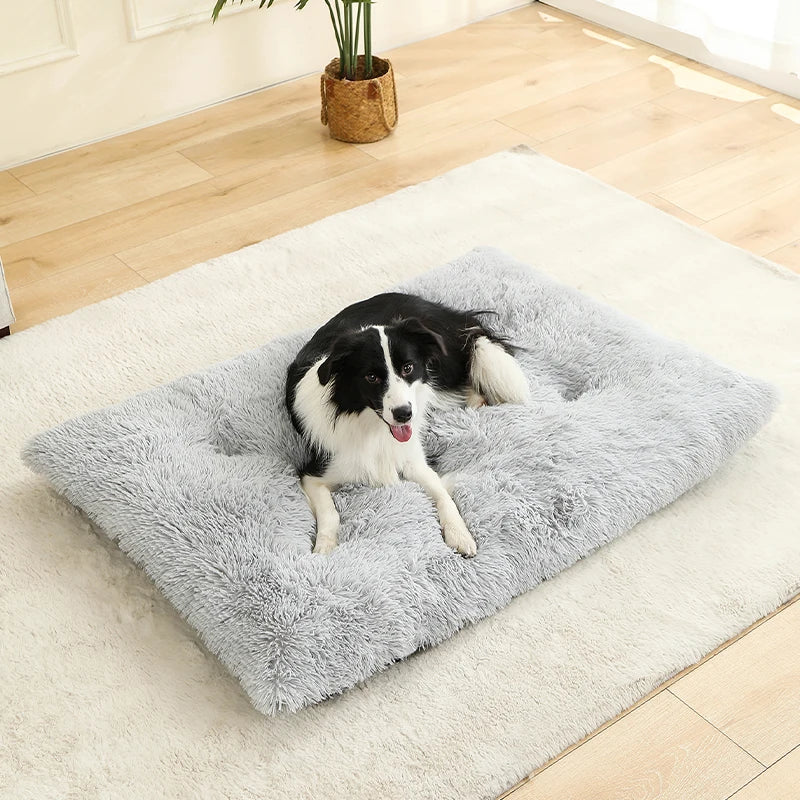 Coussin lit pour chien