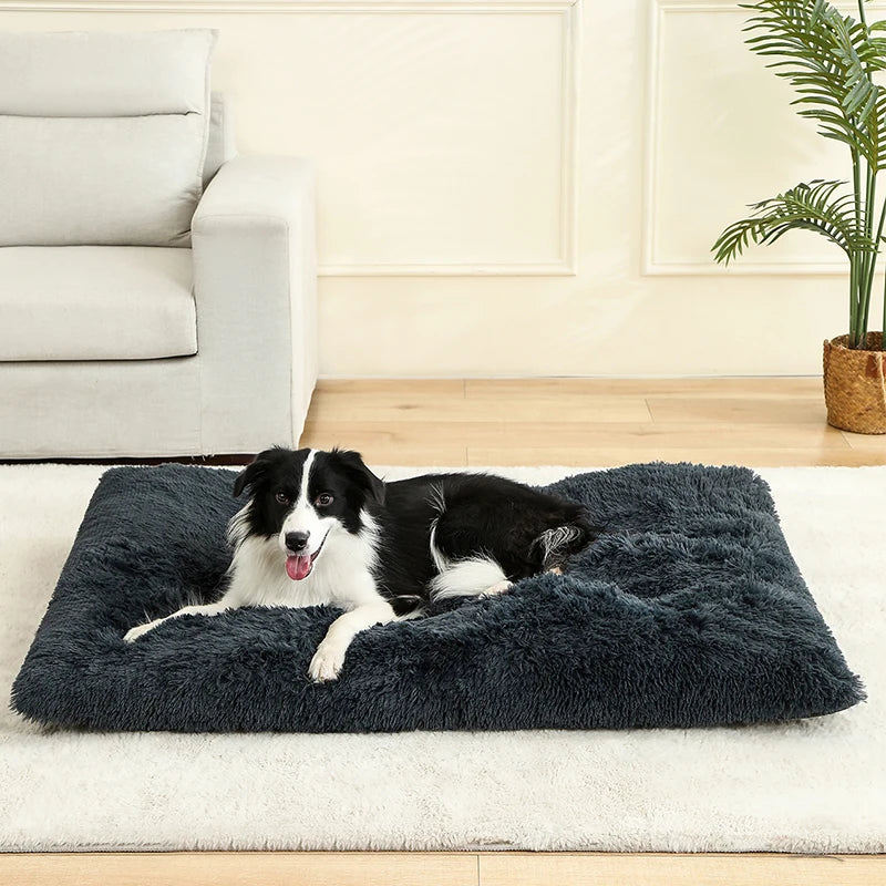 Coussin lit pour chien