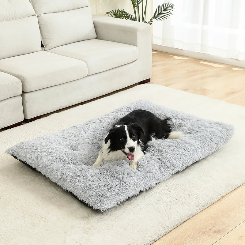 Coussin lit pour chien