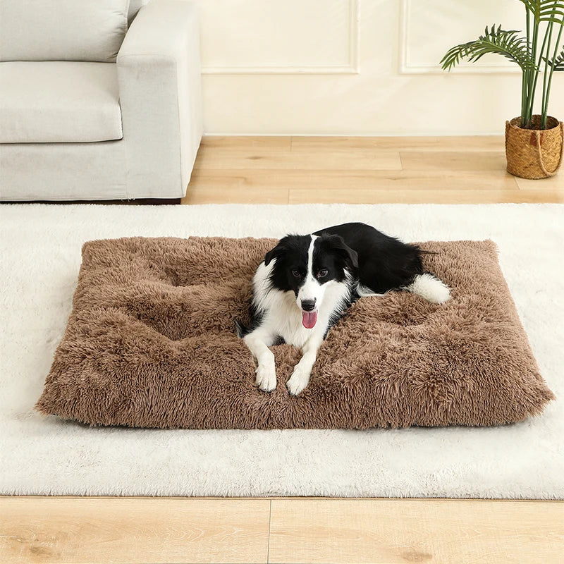 Coussin lit pour chien
