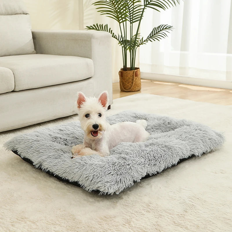 Coussin lit pour chien