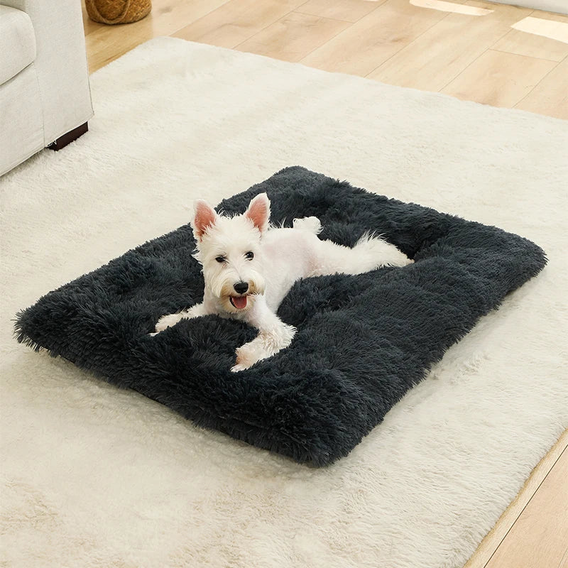 Coussin lit pour chien