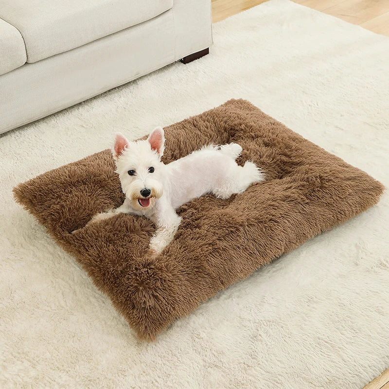Coussin lit pour chien