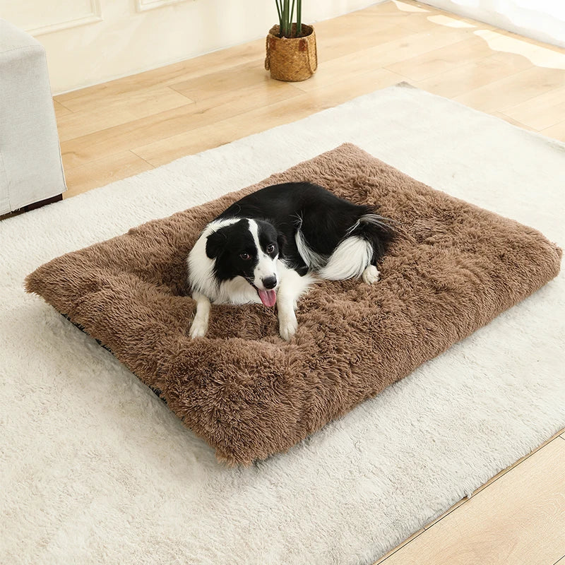 Coussin lit pour chien