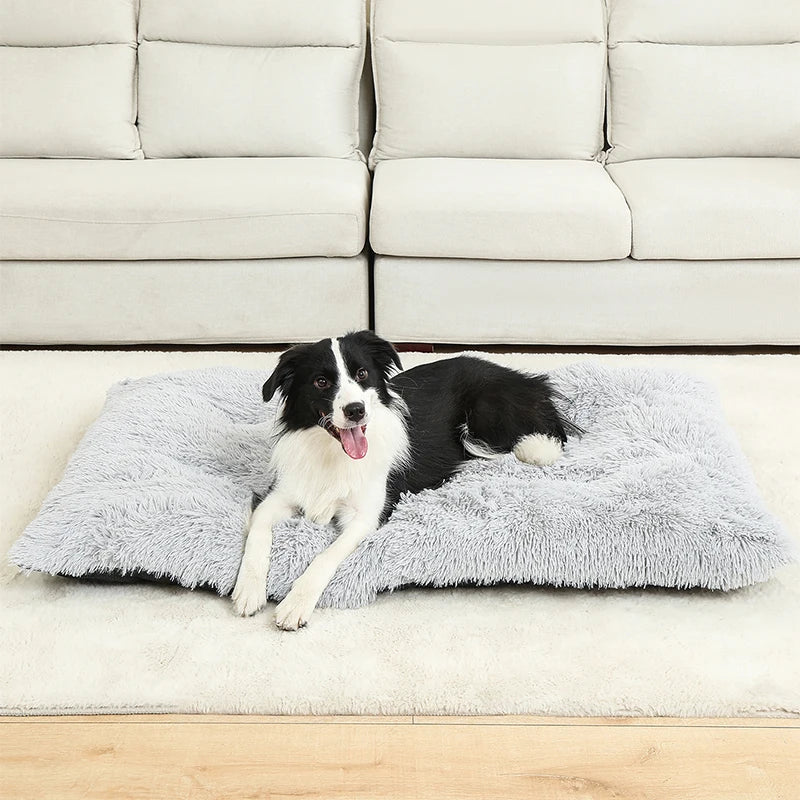 Coussin lit pour chien