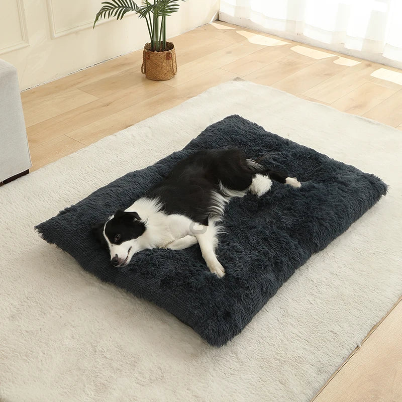 Coussin lit pour chien