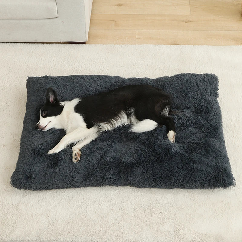 Coussin lit pour chien