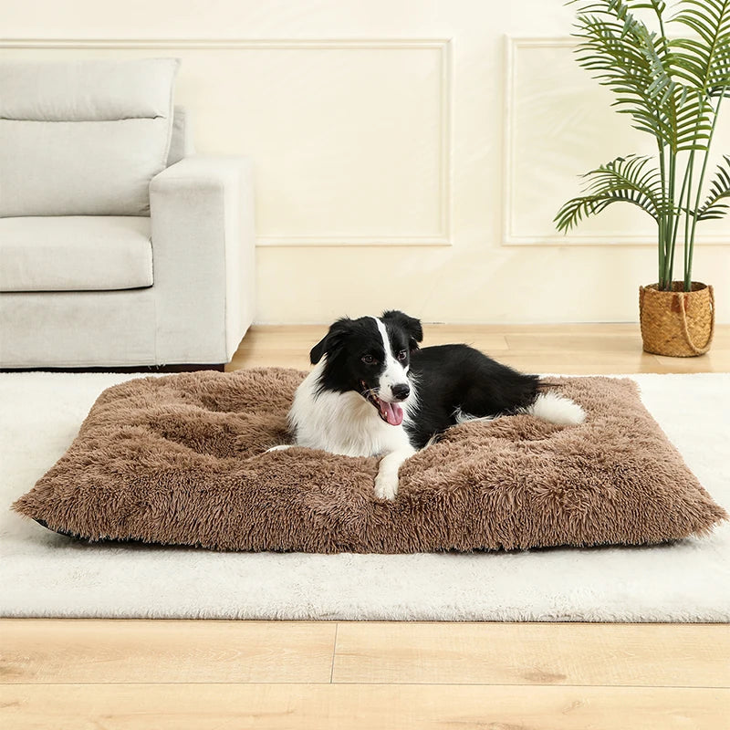 Coussin lit pour chien