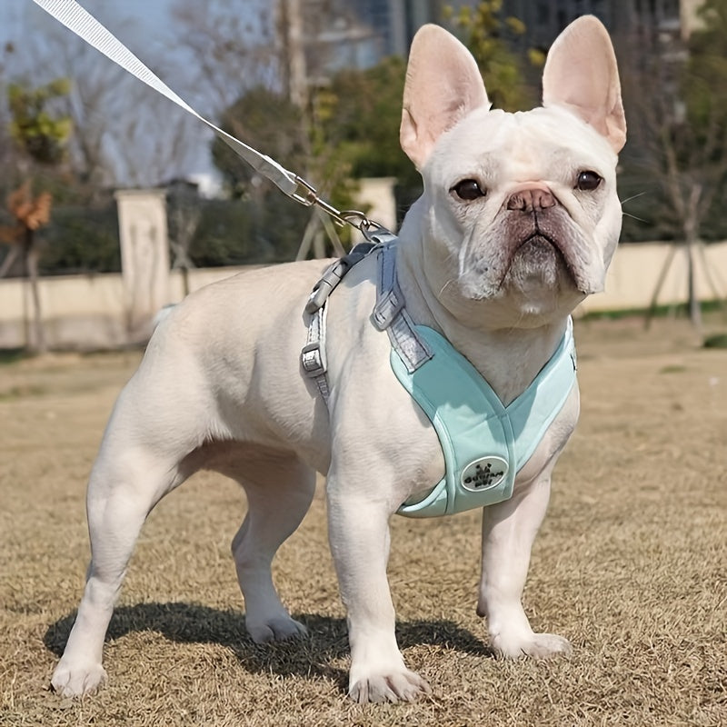 Harnais Détendu pour chien