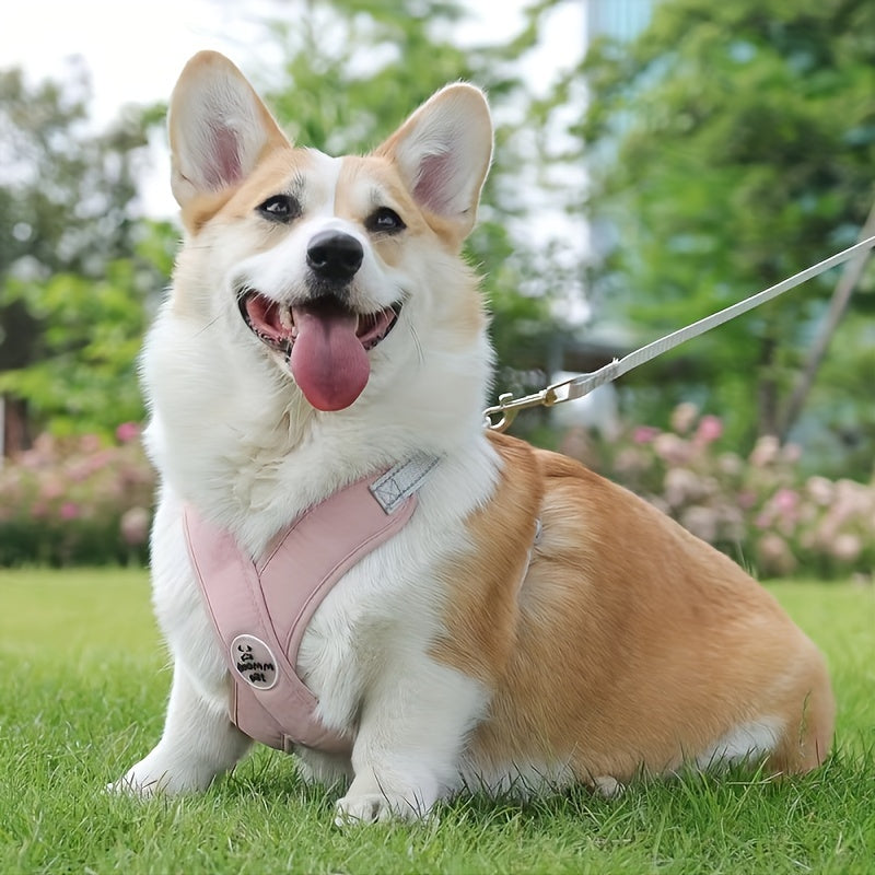 Harnais Détendu pour chien