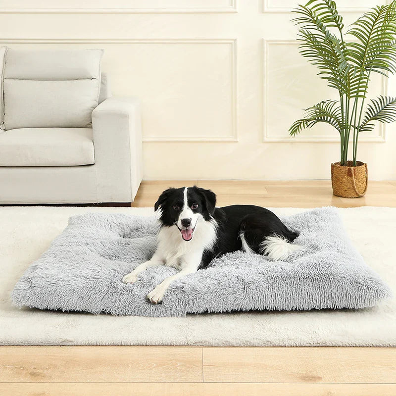 Niche pour chien