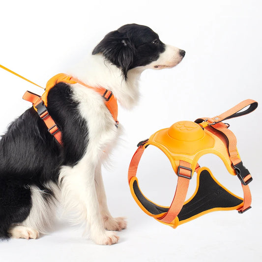 Kinyu 2023 New All in One Auto-Lock No-Pull Control Hybrid Dog Harness with Built-In Retractable Leash Dog Harness and Leash Set