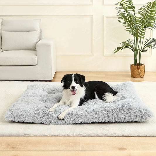 Coussin lit pour chien